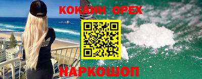 дмт Славгород