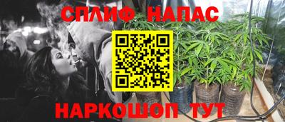 ешки Сланцы